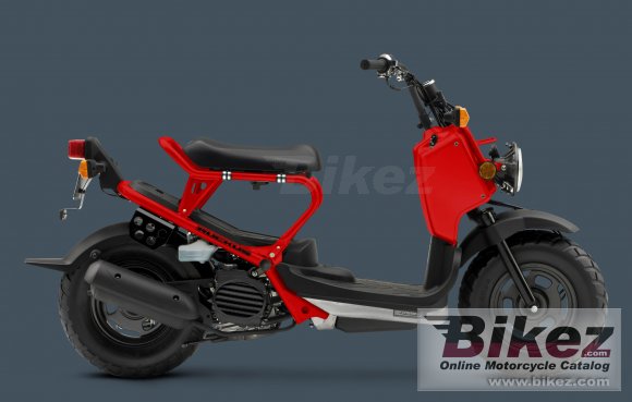 2009 Honda Ruckus photo